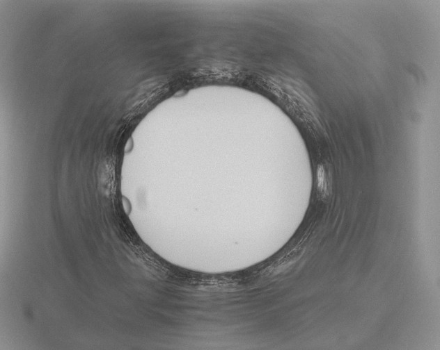 X0000115661203200912101044