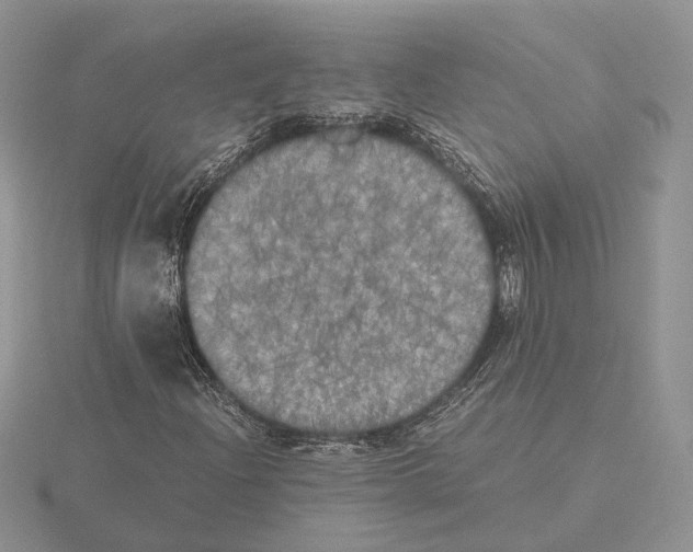 X0000115661204200912101044