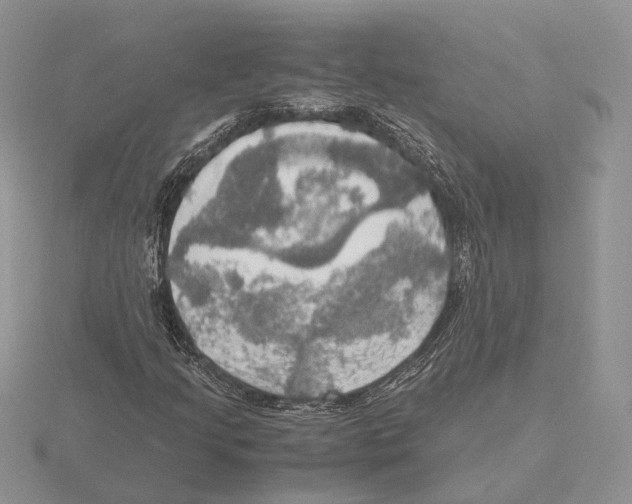 X0000115661205200912101044