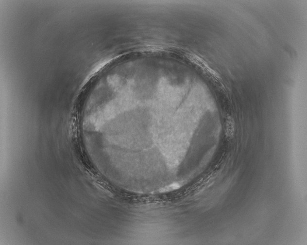 X0000115661208200912101044