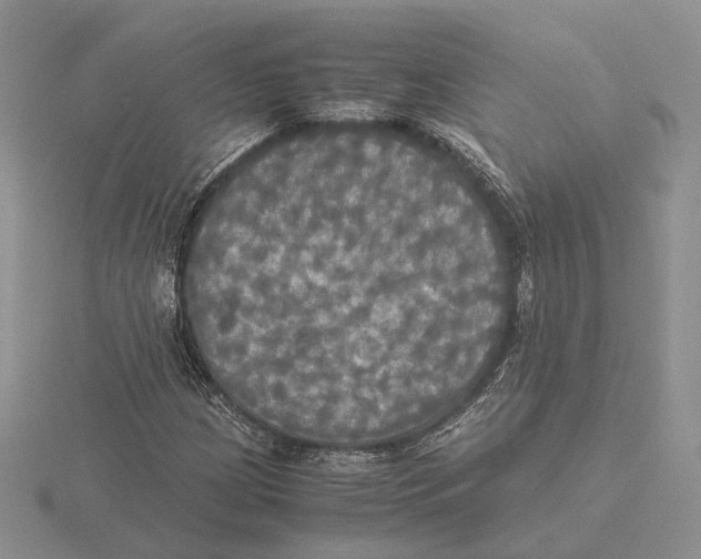 X0000115661209200912101044