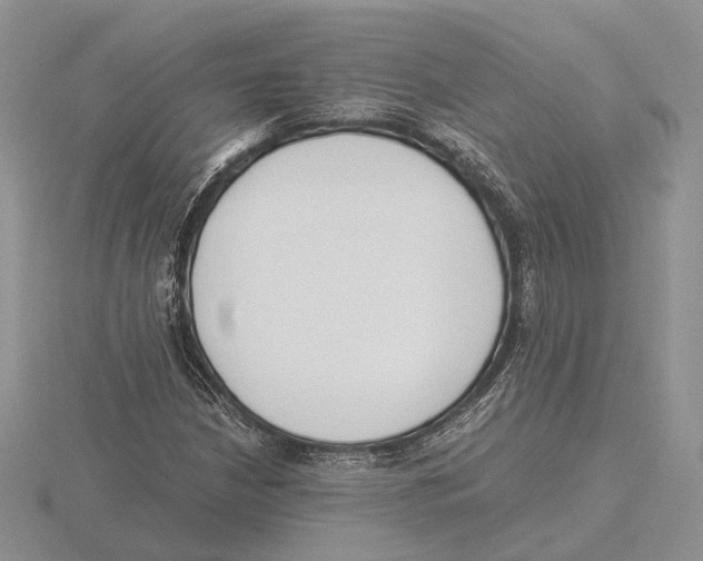 X0000115661210200912101044