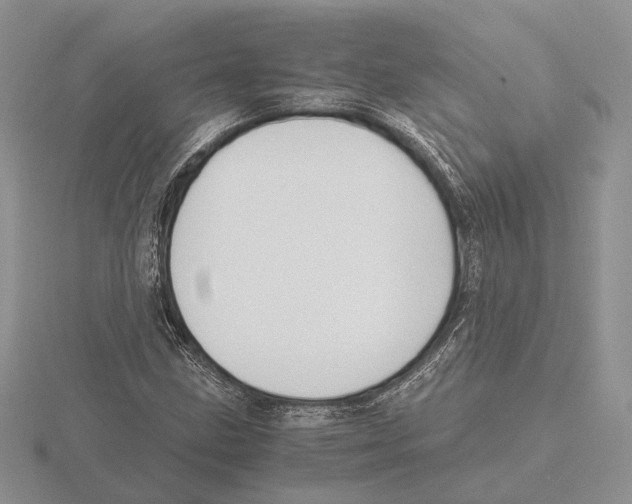 X0000115661211200912101044