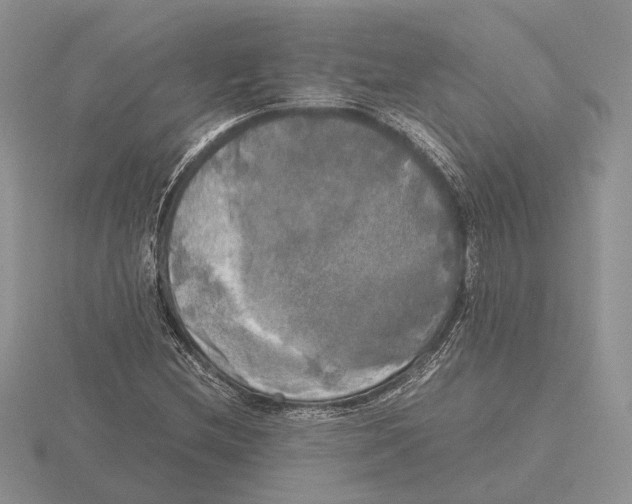 X0000115661212200912101044