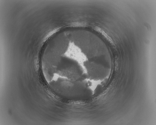 X0000115661213200912101044