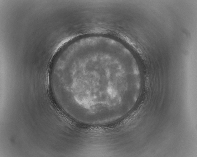 X0000115661214200912101044