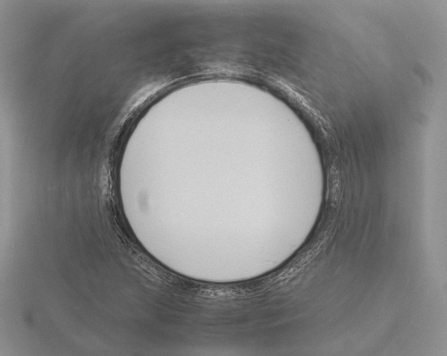 X0000115661215200912101044