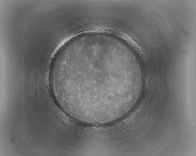 X0000115661216200912101044