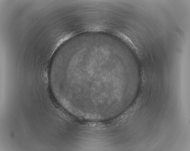 X0000115661218200912101044