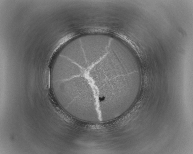 X0000115661219200912101044