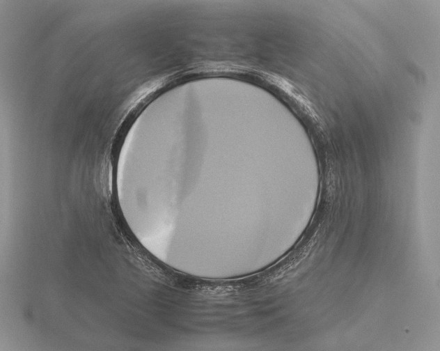 X0000115661221200912101044