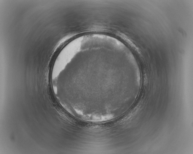 X0000115661222200912101044