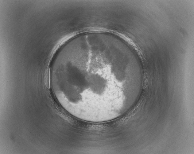 X0000115661223200912101045