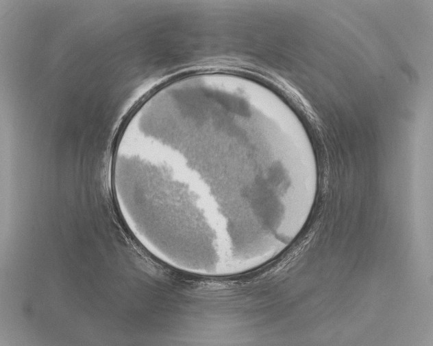 X0000115661224200912101045