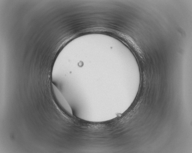 X0000115661225200912101045