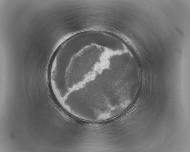 X0000115661230200912101045