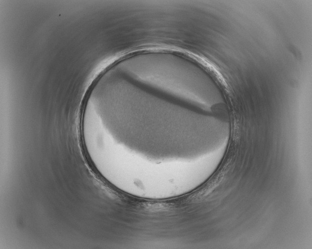 X0000115661231200912101045