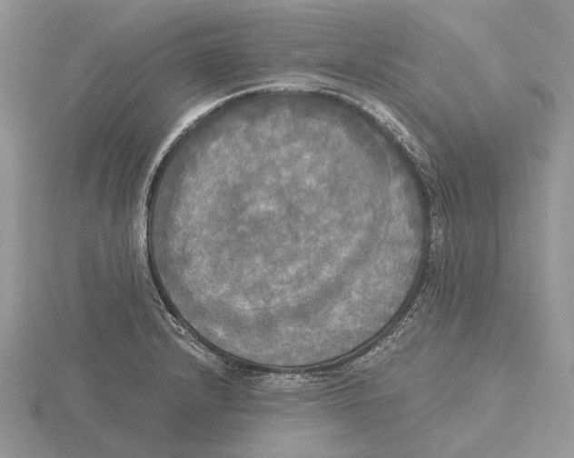 X0000115661232200912101045