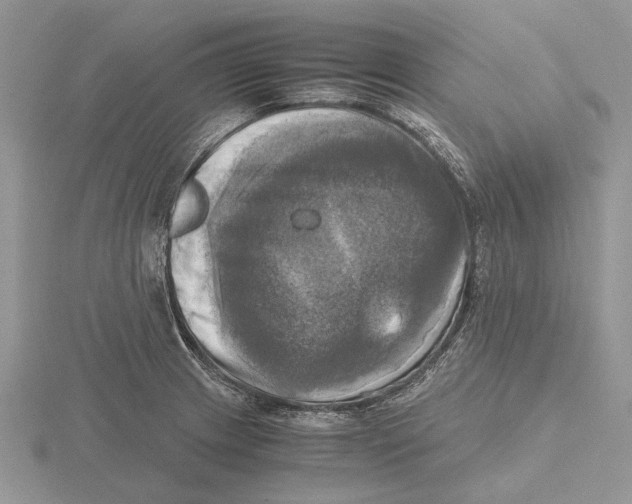 X0000115661233200912101045