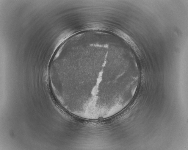 X0000115661234200912101045