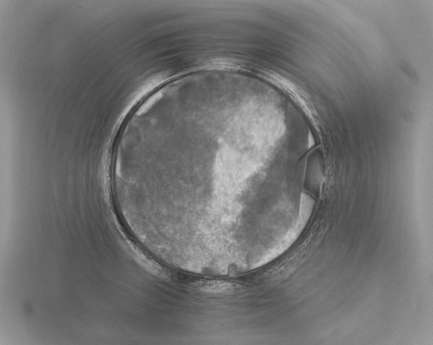 X0000115661235200912101045