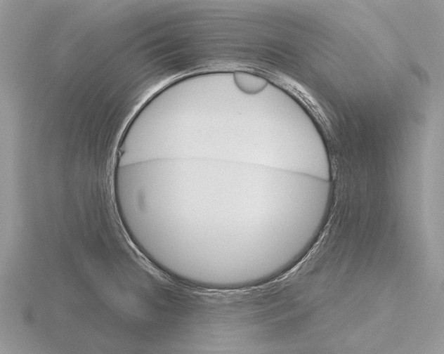 X0000115661236200912101045