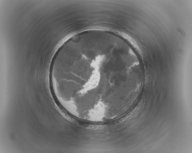 X0000115661237200912101045