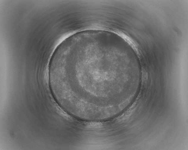 X0000115661238200912101045