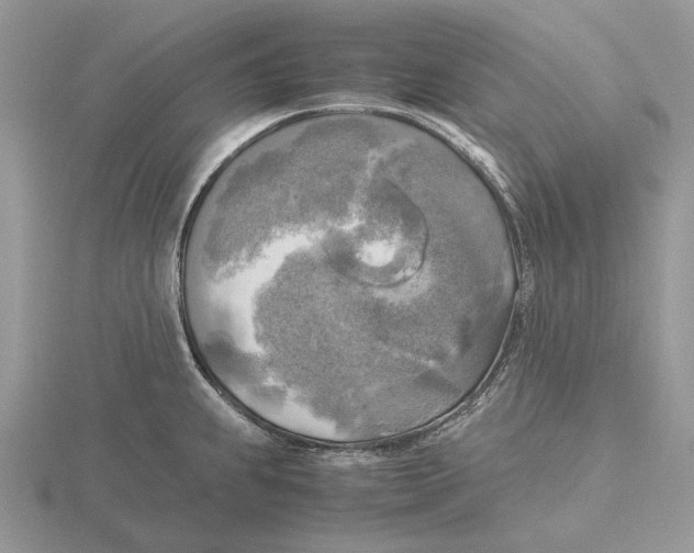 X0000115661239200912101045