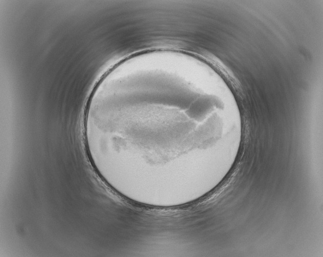 X0000115661240200912101045