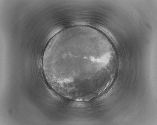 X0000115661241200912101045