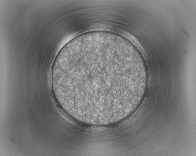 X0000115661242200912101045