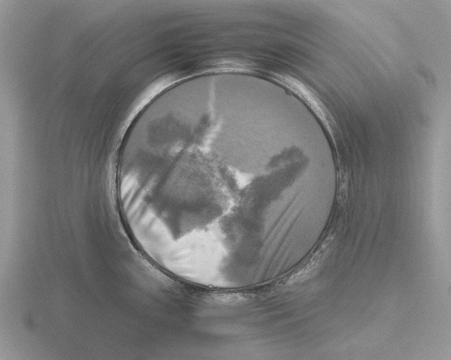 X0000115661243200912101045