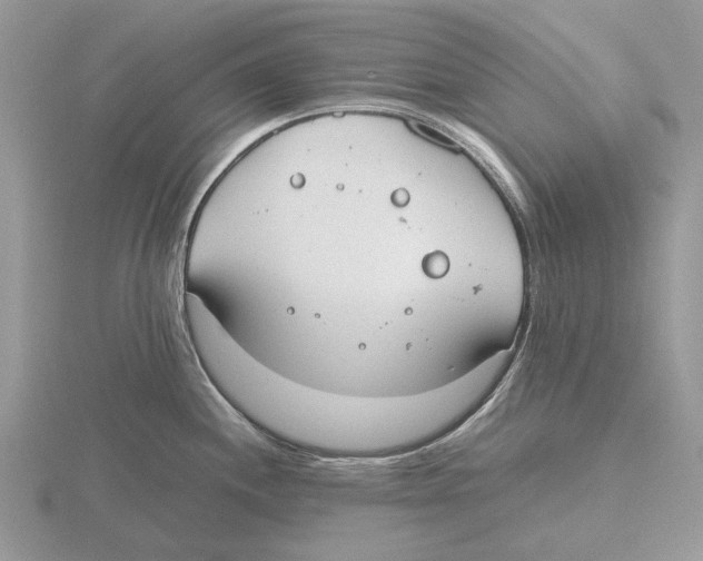 X0000115661244200912101045