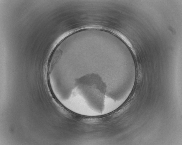 X0000115661245200912101045