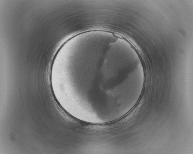 X0000115661246200912101045