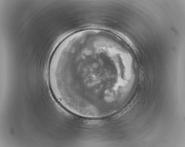 X0000115661247200912101045