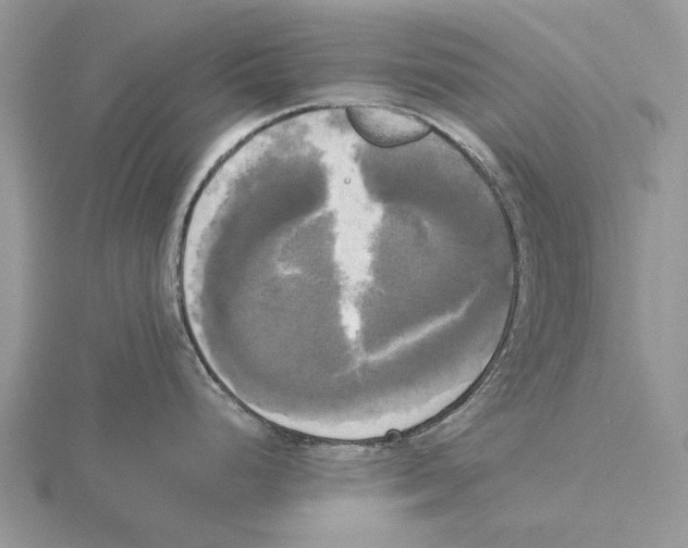 X0000115661248200912101045