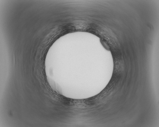 X0000115661249200912101044