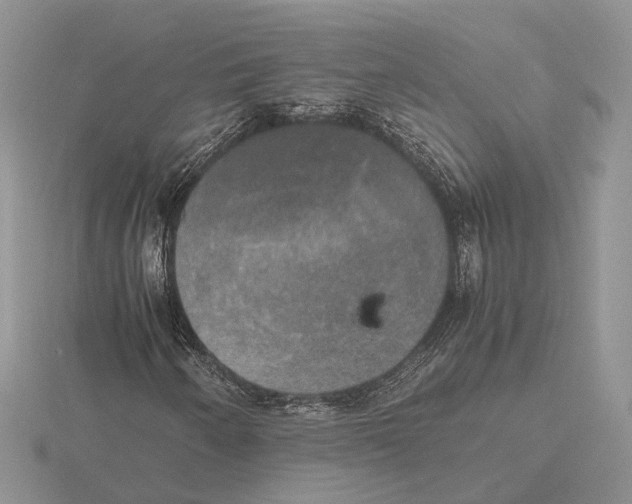 X0000115661250200912101044