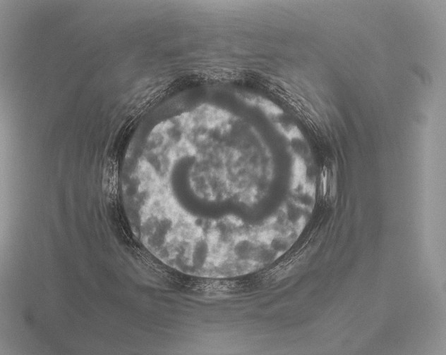 X0000115661251200912101044