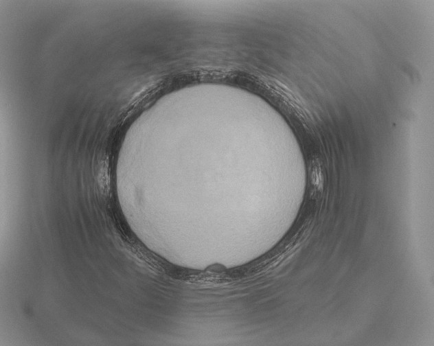 X0000115661252200912101044