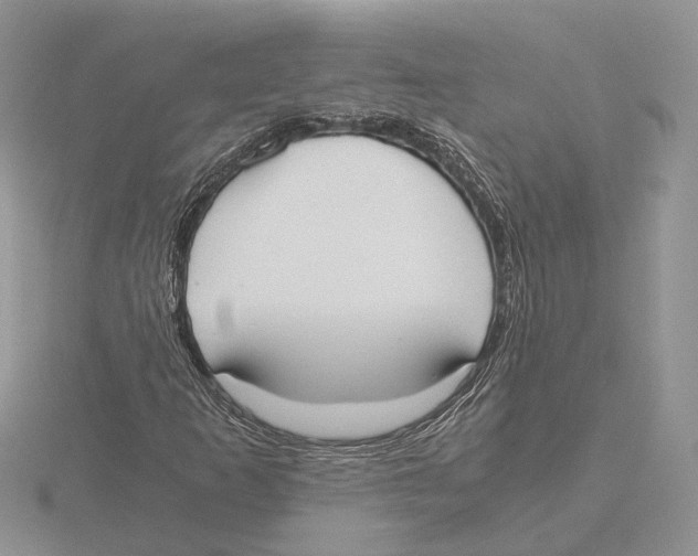 X0000115661253200912101044