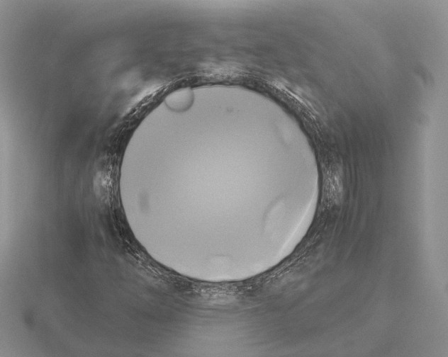 X0000115661254200912101044