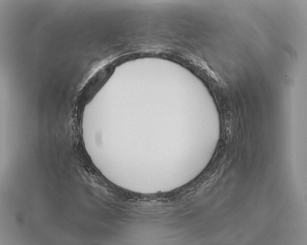 X0000115661256200912101044