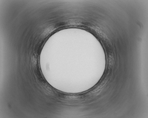 X0000115661257200912101044