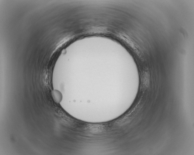 X0000115661258200912101044