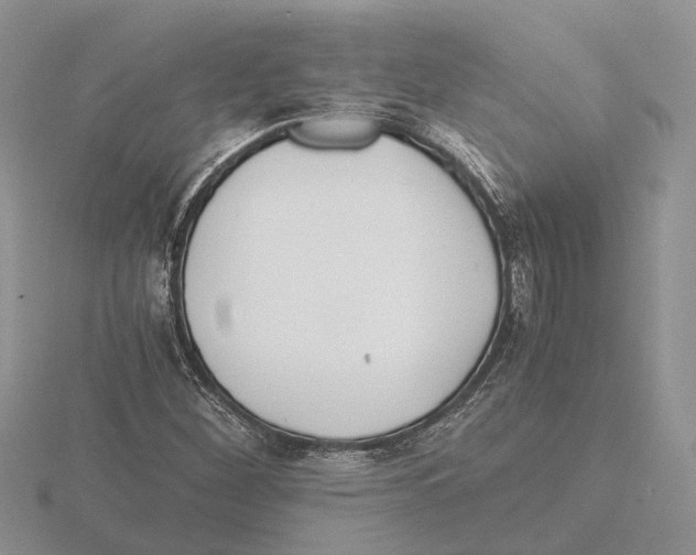 X0000115661260200912101044