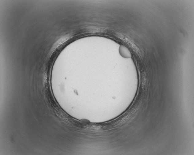 X0000115661261200912101044