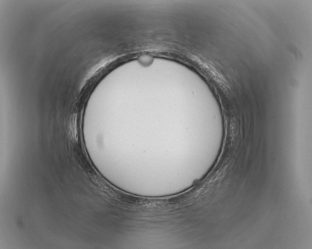 X0000115661262200912101044